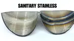 sanitary-stainless-welding-purge-vs-on-purge
