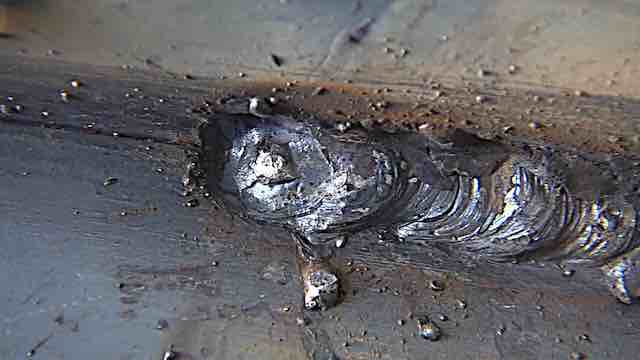 arc length is important for tig mig and stick welding arc-length-in-welding-stick-overhead