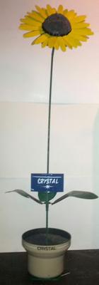 Sunflower I made for my girlfriend